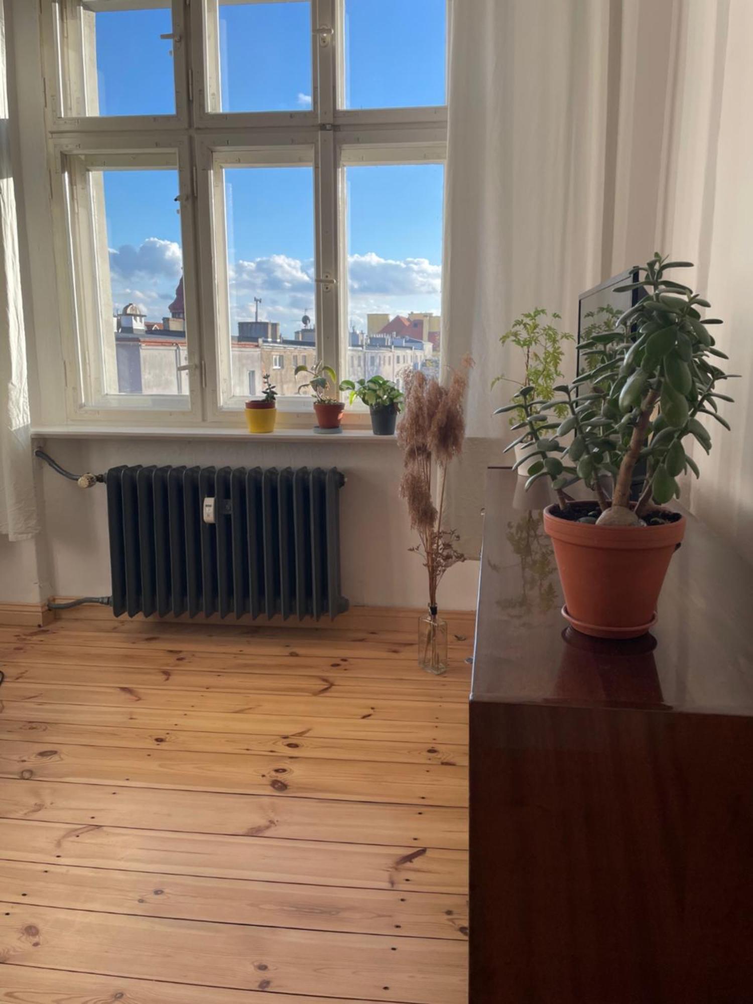 Sentymenty - Apartamenty W Kamienicy Na Mickiewicza Torun Ngoại thất bức ảnh